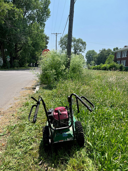 The vacant lot has not been mowed since last year.